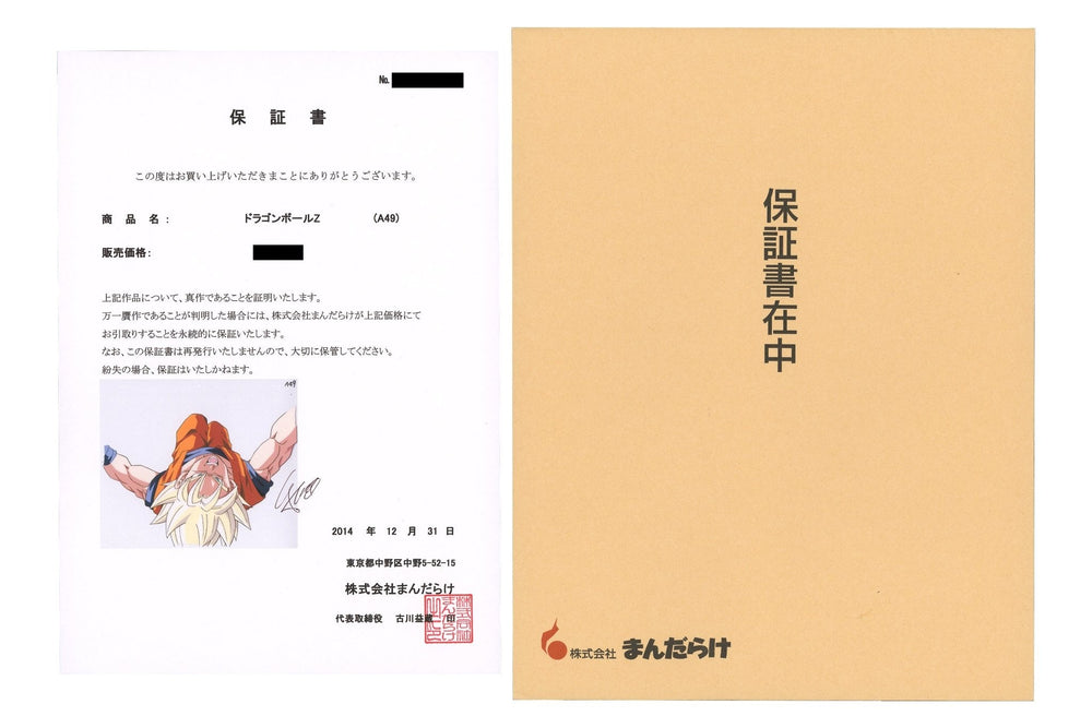 Animation Art Provenance: Verify Authenticity With Confidence - ORIOGI オリオギ