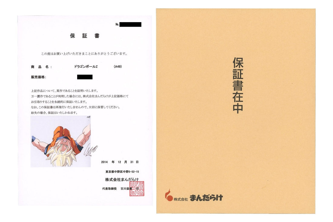 Animation Art Provenance: Verify Authenticity With Confidence - ORIOGI オリオギ