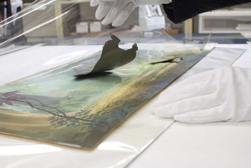 How to Tell if an Animation Cel Is Real